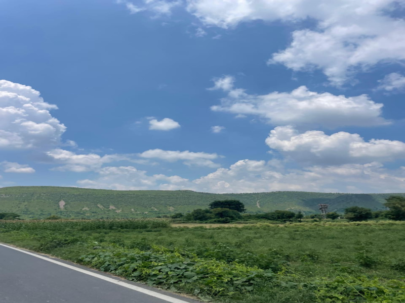  12 Acre Agricultural/Farm Land for Sale in Pahari, Bharatpur