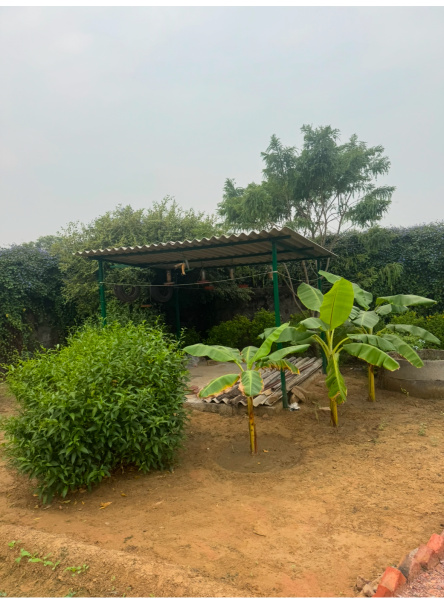 2.5 BHK 4810 Sq.ft. Farm House for Sale in Sohna Palwal Road, Gurgaon