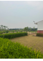 2.5 BHK Farm House for Sale in Sohna, Gurgaon