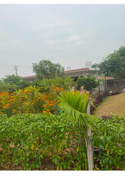 2 BHK 4840 Sq. Yards Farm House for Sale in Sohna, Gurgaon