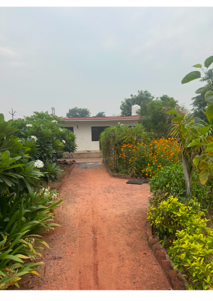  5000 Sq. Yards Agricultural/Farm Land for Sale in Sohna, Gurgaon