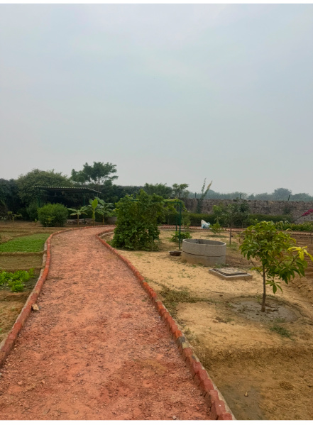 2 BHK 50000 Sq. Yards Farm House for Sale in Deeg, Bharatpur