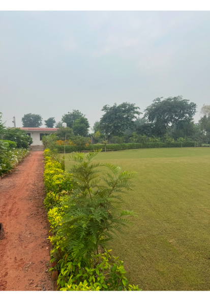  20 Bigha Agricultural/Farm Land for Sale in Pahari, Bharatpur