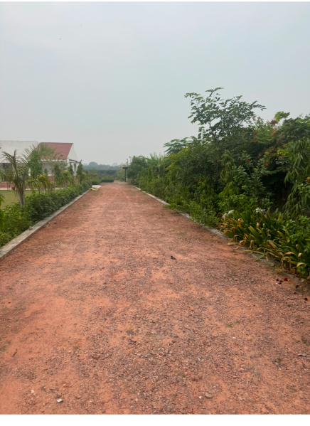  20 Bigha Agricultural/Farm Land for Sale in Pahari, Bharatpur