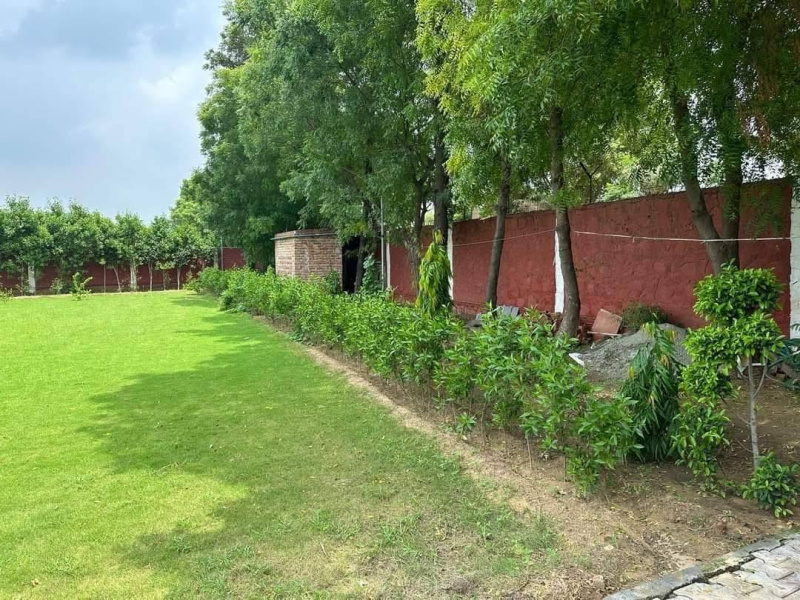  15 Bigha Agricultural/Farm Land for Sale in Pahari, Bharatpur