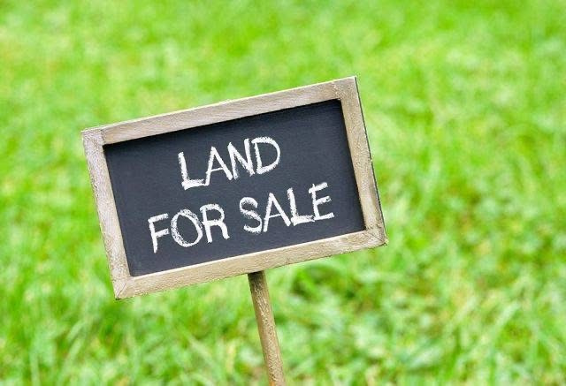  30 Bigha Agricultural/Farm Land for Sale in Deeg, Bharatpur