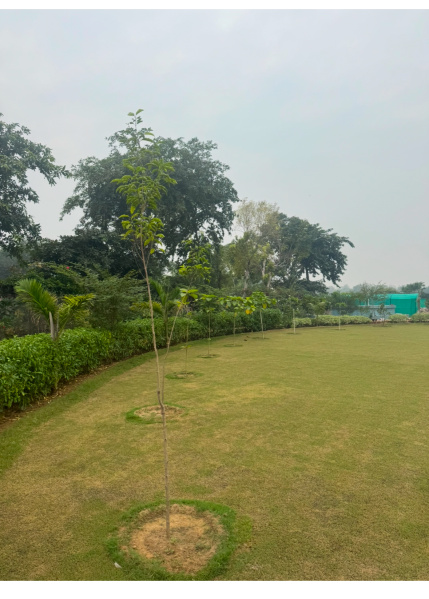  10 Bigha Agricultural/Farm Land for Sale in Pahari, Bharatpur