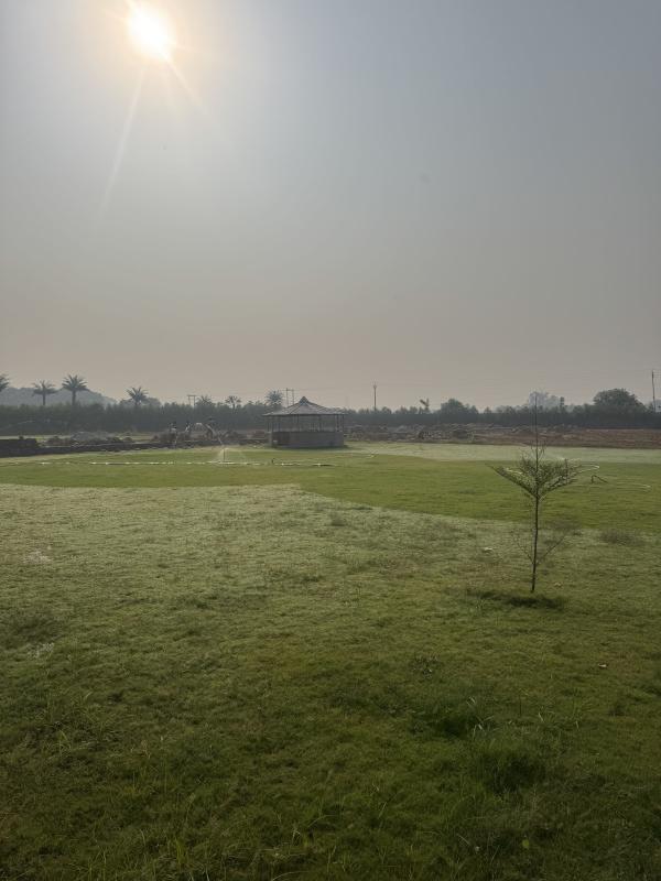  10 Bigha Agricultural/Farm Land for Sale in Naugaon, Alwar