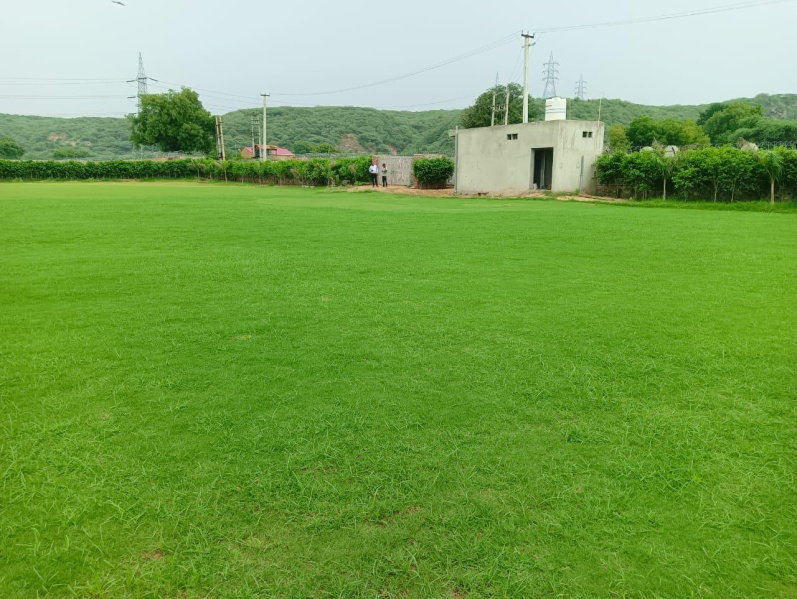  1 Acre Agricultural/Farm Land for Sale in Sohna Road, Faridabad