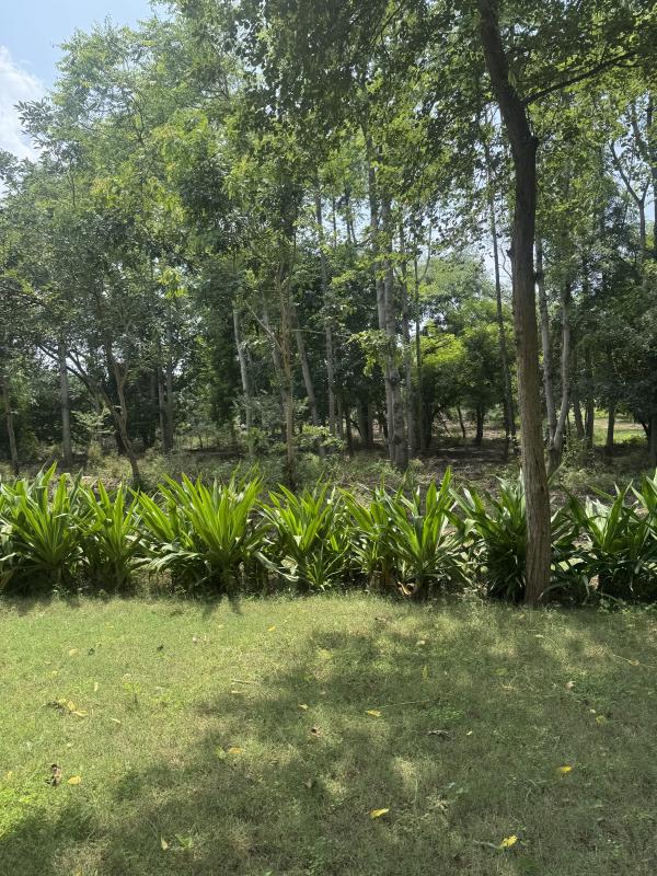  1 Acre Agricultural/Farm Land for Sale in Ferozepur Jhirka, Nuh