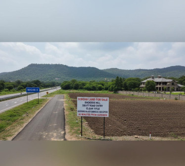  1 Acre Agricultural/Farm Land for Sale in Tauru, Nuh