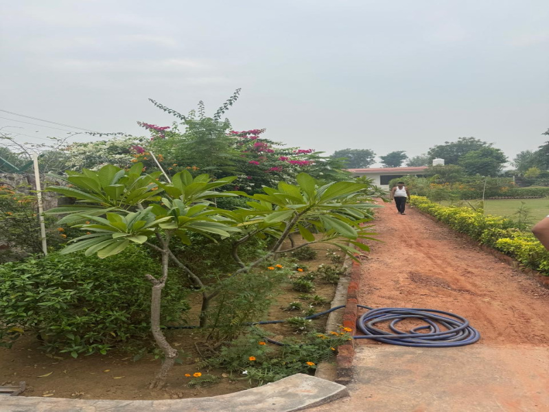  1 Acre Agricultural/Farm Land for Sale in Faridabad Road, Gurgaon