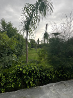  Agricultural Land for Sale in Gurgaon Rural