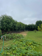  Agricultural Land for Sale in Sohna Road, Gurgaon