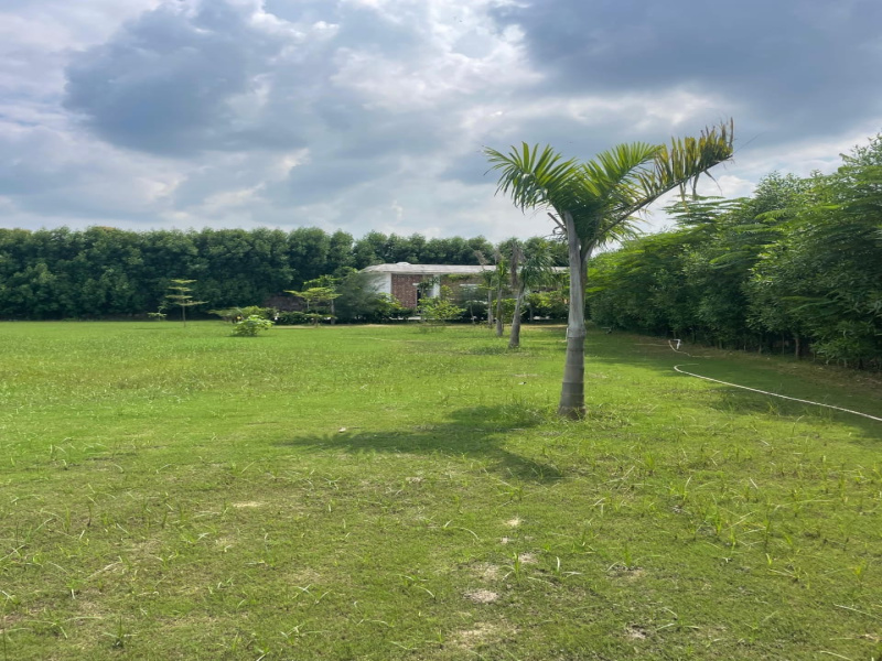  1 Acre Agricultural/Farm Land for Sale in Sohna Road, Gurgaon