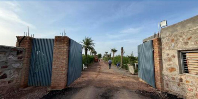  10 Bigha Agricultural/Farm Land for Sale in Naugaon, Alwar