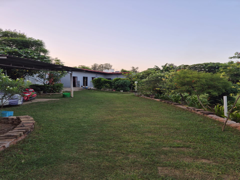  15 Acre Agricultural/Farm Land for Sale in Naugaon, Alwar