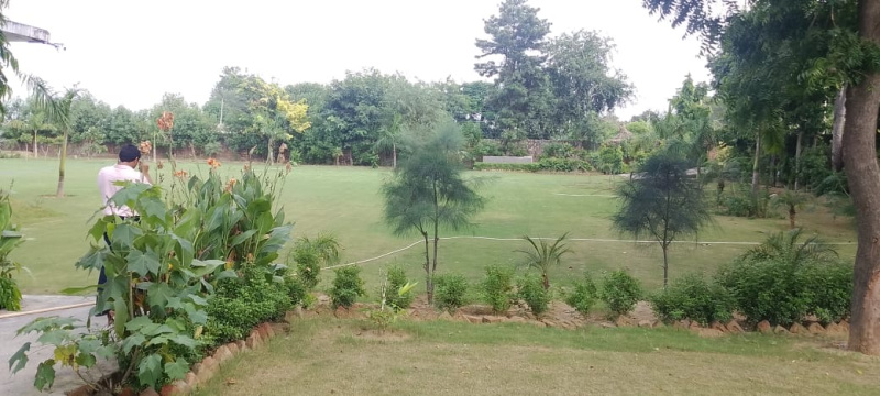  10 Acre Agricultural/Farm Land for Sale in Gurgaon Rural