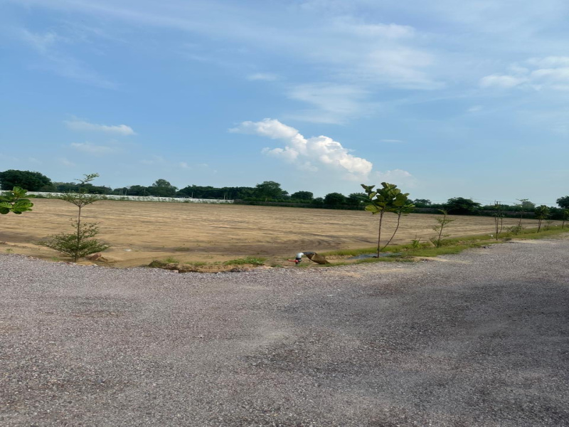  200 Bigha Agricultural/Farm Land for Sale in Naugaon, Alwar
