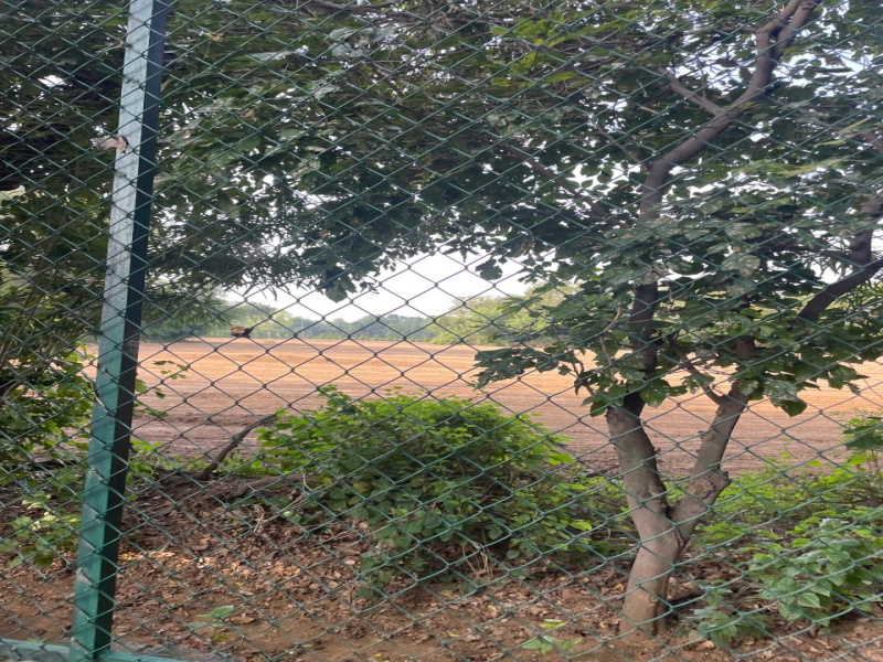  10 Bigha Agricultural/Farm Land for Sale in Pahari, Bharatpur