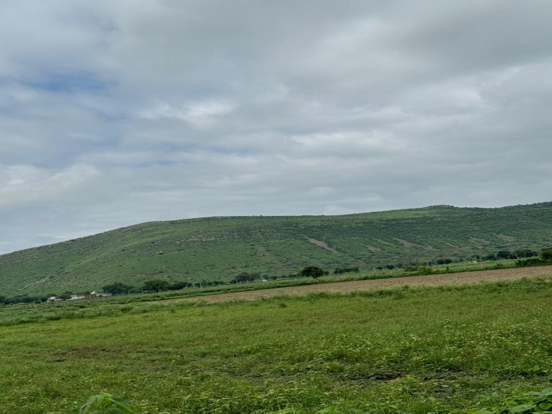  8 Bigha Agricultural/Farm Land for Sale in Naugaon, Alwar