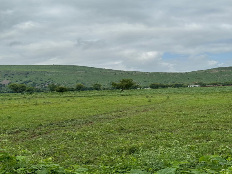  11 Bigha Agricultural/Farm Land for Sale in Naugaon, Alwar