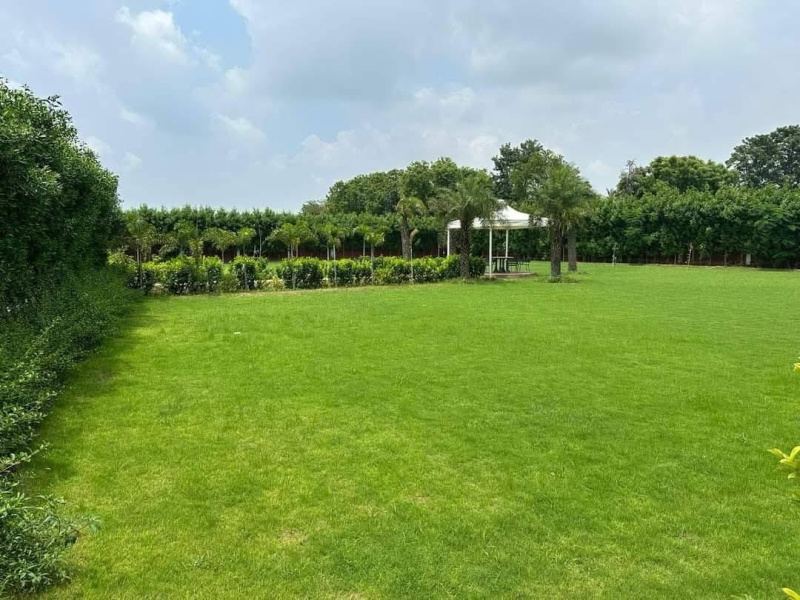  5 Bigha Agricultural/Farm Land for Sale in Ramgarh, Alwar
