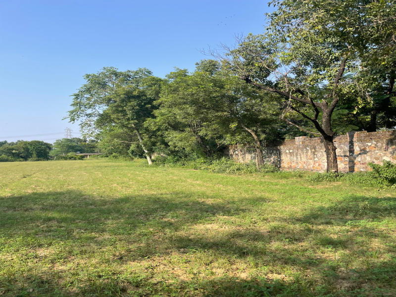  5 Bigha Agricultural/Farm Land for Sale in Ramgarh, Alwar