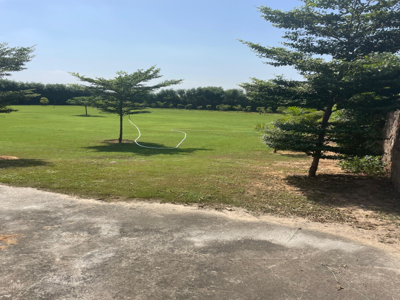  2420 Sq. Yards Agricultural/Farm Land for Sale in Sohna, Gurgaon