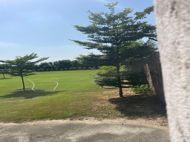  2420 Sq. Yards Agricultural/Farm Land for Sale in Sohna, Gurgaon