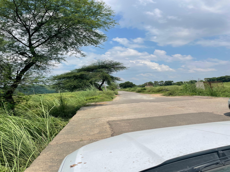  13 Bigha Agricultural/Farm Land for Sale in Naugaon, Alwar