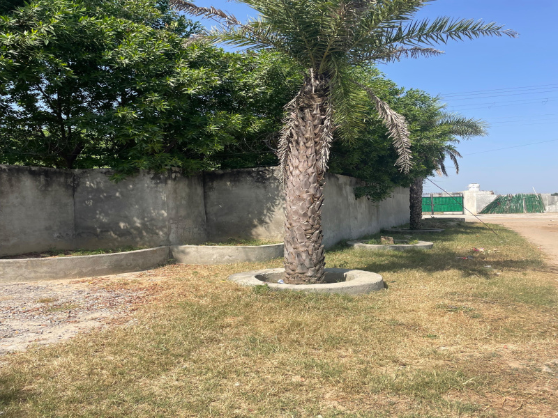  1210 Sq. Yards Agricultural/Farm Land for Sale in Sohna, Gurgaon