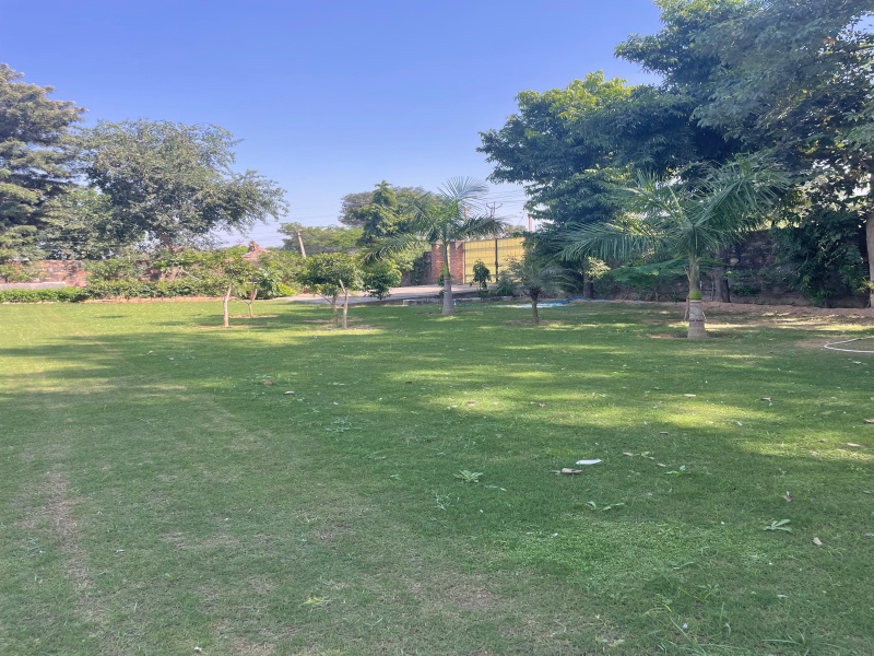  1210 Sq. Yards Agricultural/Farm Land for Sale in Sohna, Gurgaon