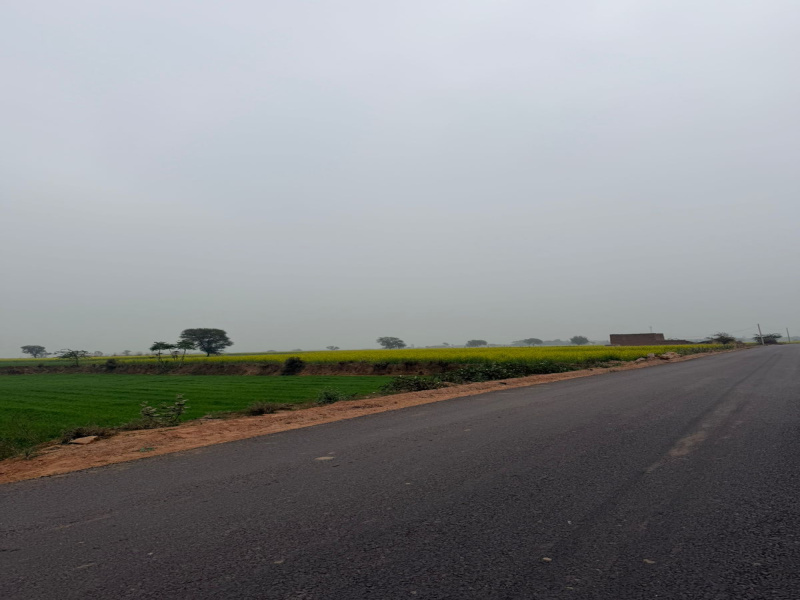  8 Bigha Agricultural/Farm Land for Sale in Pahari, Bharatpur