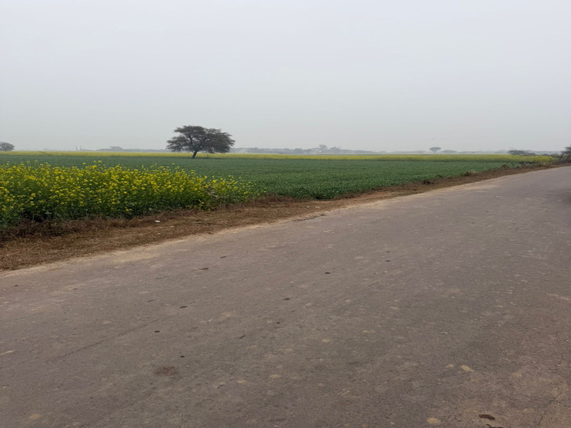  6 Bigha Agricultural/Farm Land for Sale in Pahari, Bharatpur