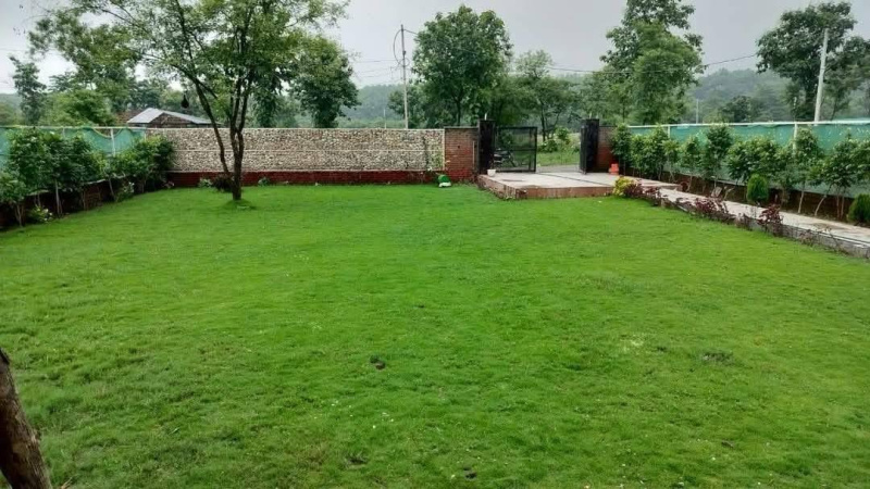  1500 Sq. Yards Agricultural/Farm Land for Sale in Sohna, Gurgaon
