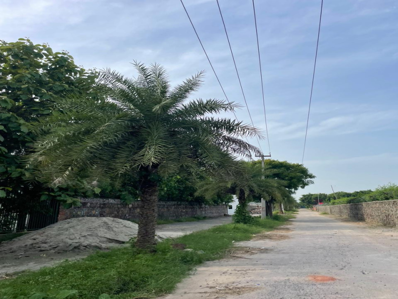  1 Acre Agricultural/Farm Land for Sale in Sohna, Gurgaon