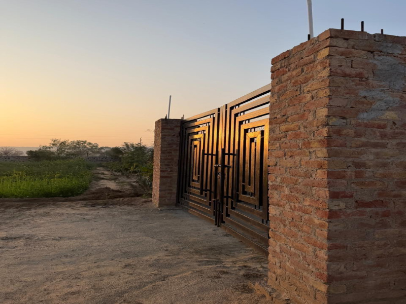  12 Bigha Agricultural/Farm Land for Sale in NH 11, Bharatpur