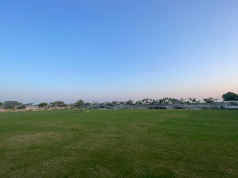  15 Bigha Agricultural/Farm Land for Sale in Naugaon, Alwar