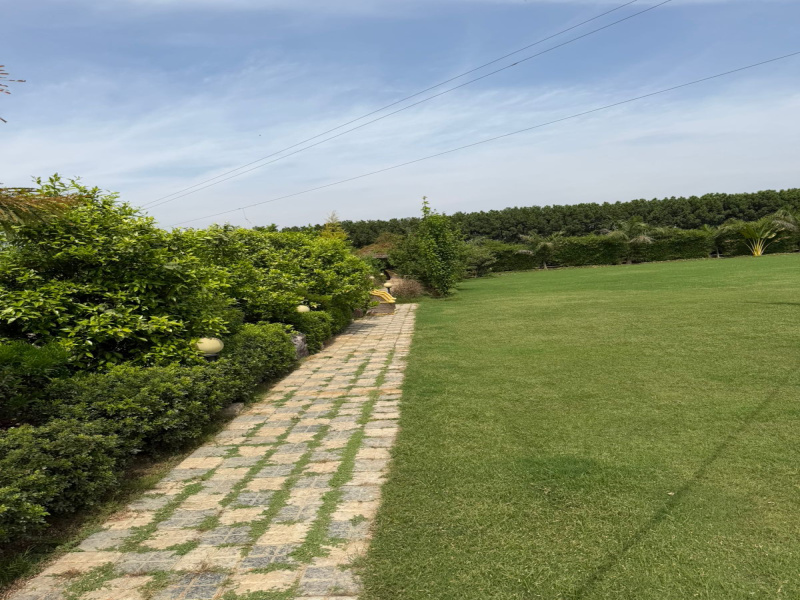  4 Acre Agricultural/Farm Land for Sale in Tauru, Nuh