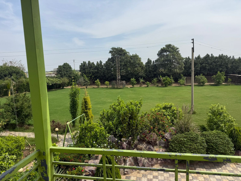  1 Acre Agricultural/Farm Land for Sale in Taoru, Gurgaon