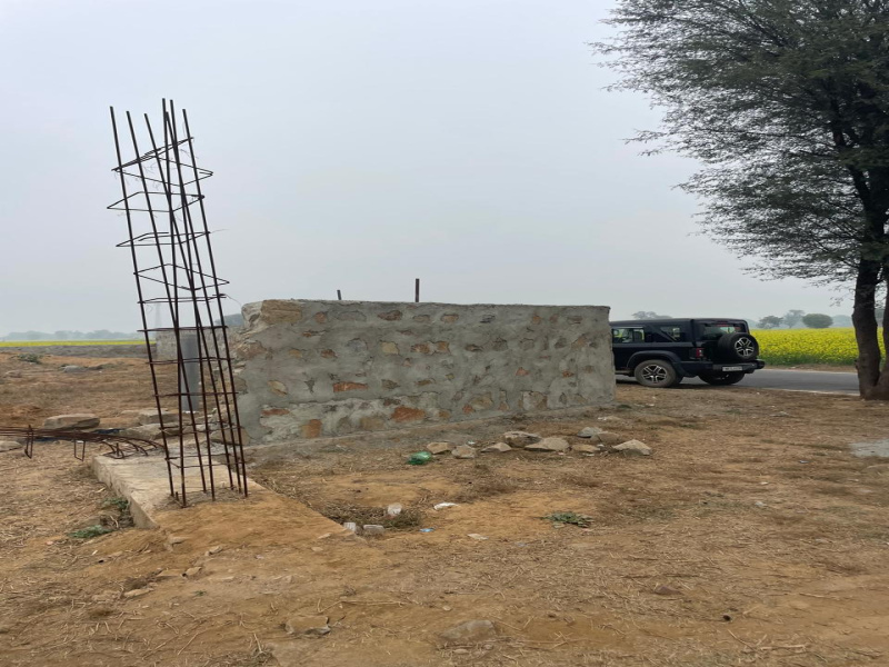  5 Bigha Agricultural/Farm Land for Sale in Naugaon, Alwar