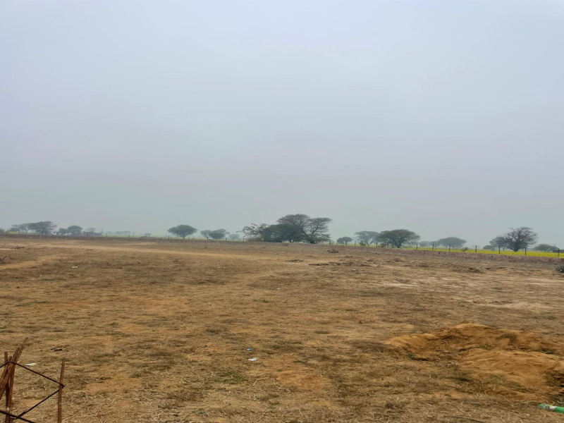  5 Bigha Agricultural/Farm Land for Sale in Naugaon, Alwar