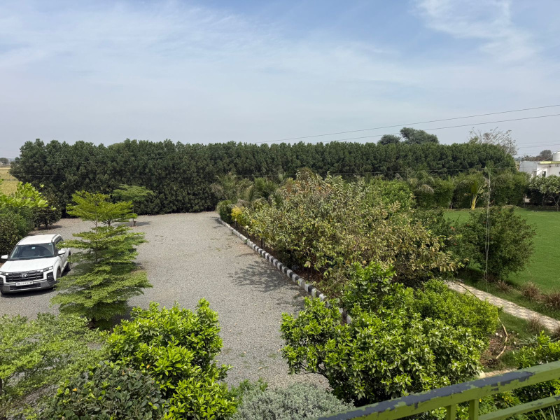  3 Bigha Agricultural/Farm Land for Sale in Naugaon, Alwar