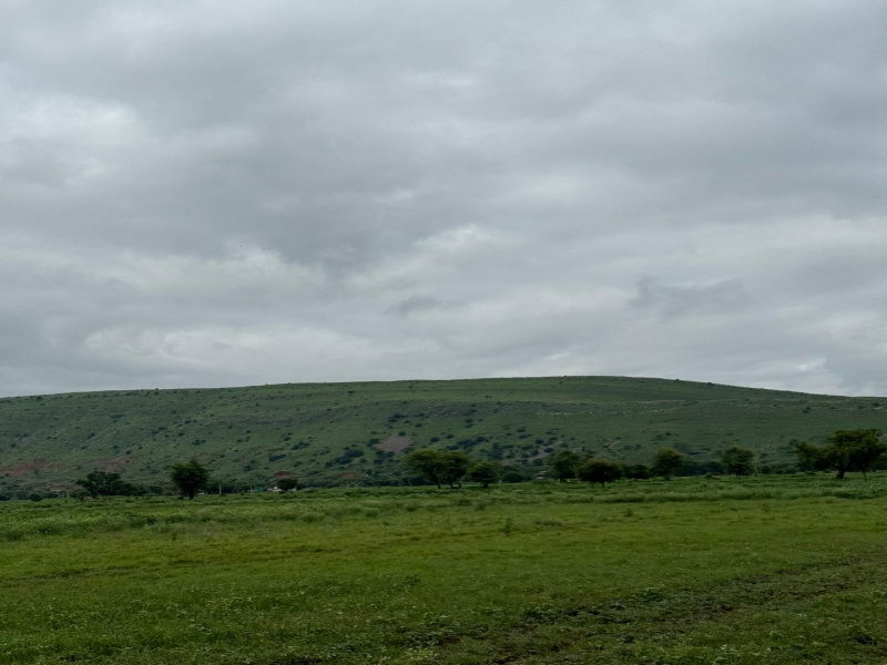  5 Bigha Agricultural/Farm Land for Sale in Pahari, Bharatpur