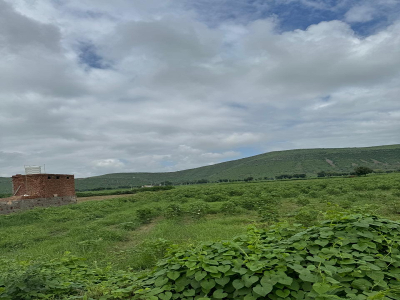  5 Bigha Agricultural/Farm Land for Sale in Pahari, Bharatpur