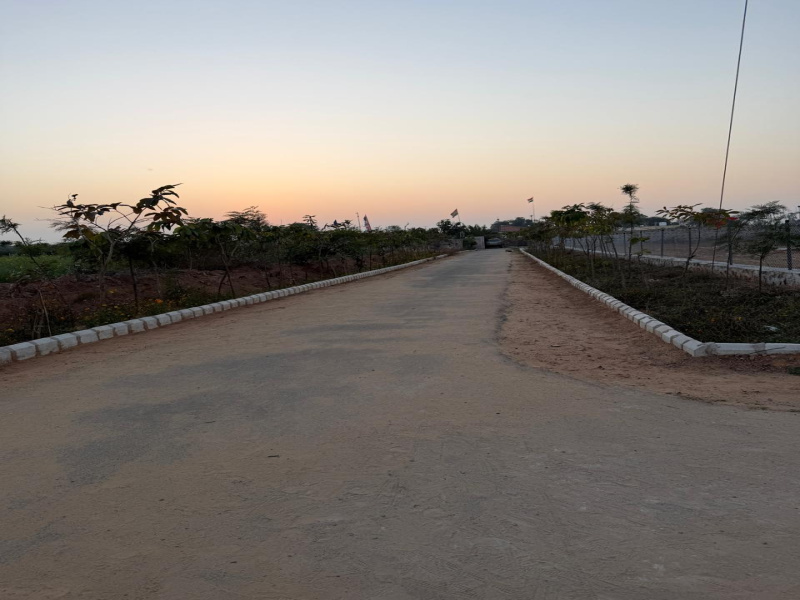  1 Acre Agricultural/Farm Land for Sale in Sohna Road, Faridabad