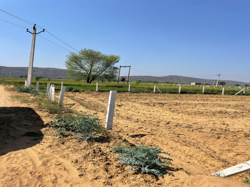  18 Bigha Agricultural/Farm Land for Sale in Naugaon, Alwar