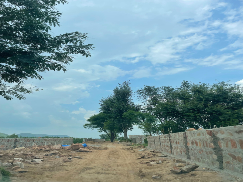  7 Bigha Agricultural/Farm Land for Sale in Naugaon, Alwar