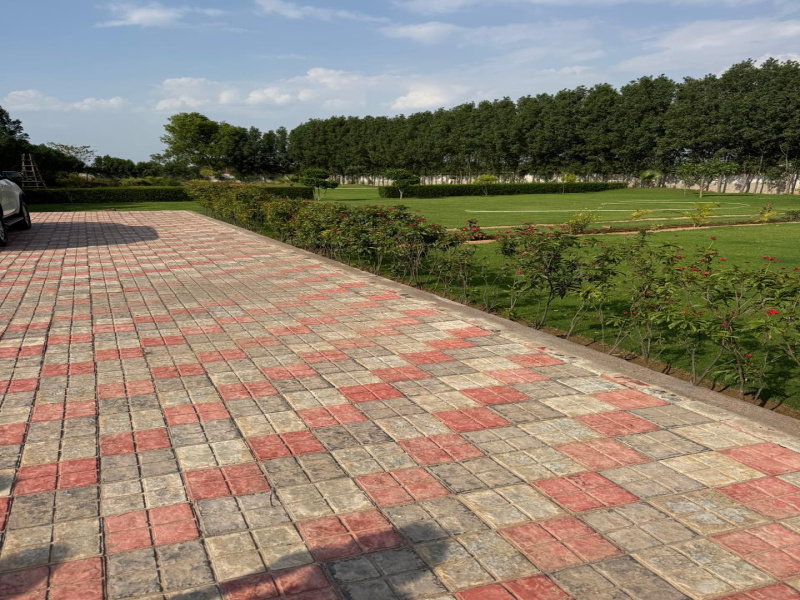  3600 Sq. Yards Agricultural/Farm Land for Sale in Sohna, Gurgaon